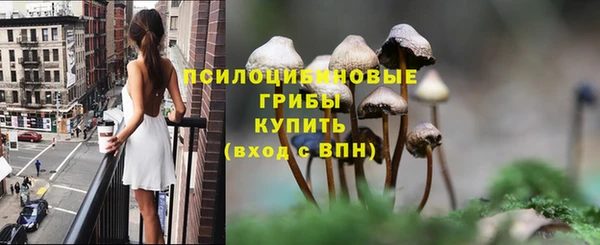 мдма Белокуриха